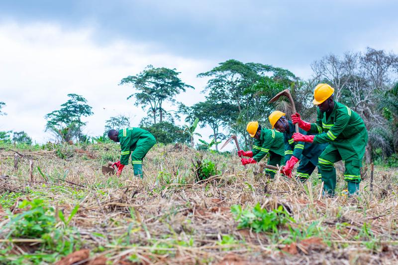 AB AGRI Perform sur le terrain